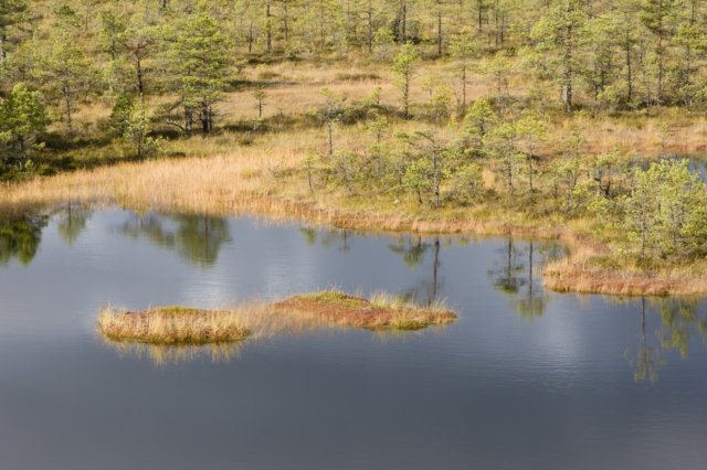 img_8458.jpg